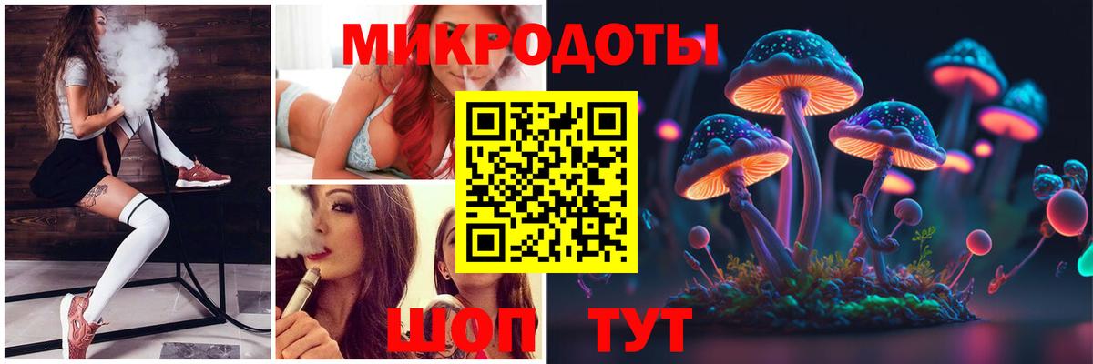 Псилоцибиновые грибы мицелий Отрадный